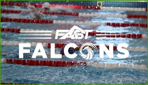 Falcons Of Ocala - Lighting Fast Flyers